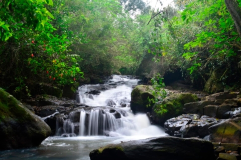 Desde Foz do Iguaçu: Secret Falls AdventureTour de medio día - cataratas secretas