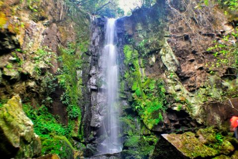 From Foz do Iguaçu: Secret Falls Adventure