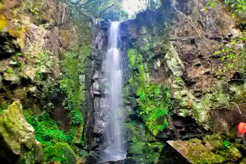 From Foz do Iguaçu: Secret Falls Adventure