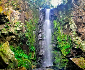 De Foz do Iguaçu: Aventura nas Cataratas Secretas