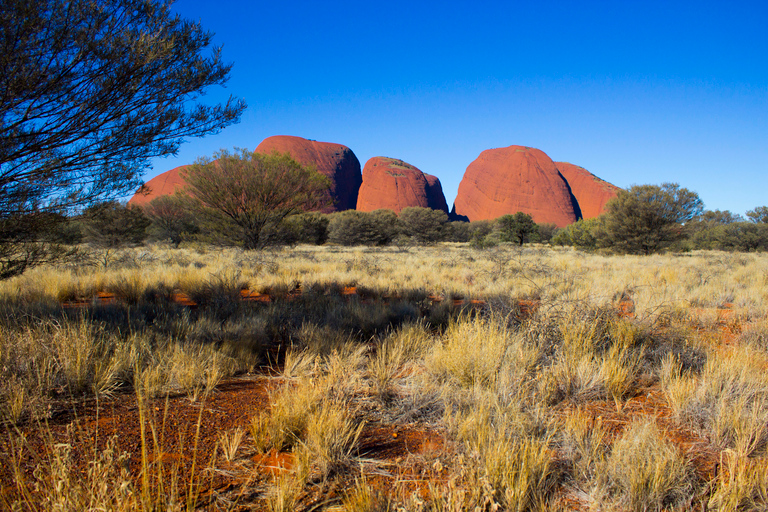 Yulara: Uluru Sunrise och Kata Tjuta dagsutflykt med bussRundtur med språkhjälpmedel