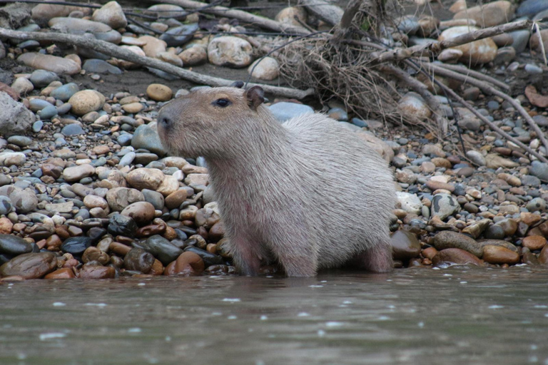 Da Cusco: 5 giorni di esplorazione e connessione nella Zona Riservata del ManuDa Cusco: 5 giorni di esplorazione e connessione nella Zona Riservata di Manu