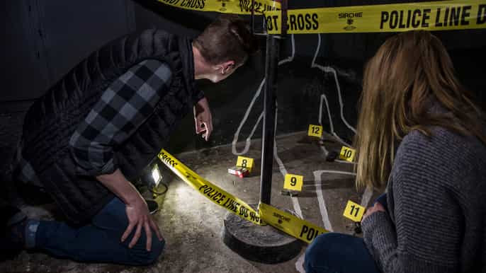 budapest serial killer escape game