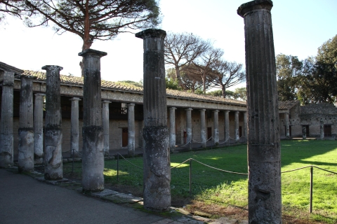 From Rome: Private Pompeii Day Trip by Car/Train Tour by Car