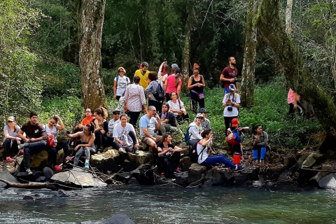 From Puerto Iguazu: Secret Falls Adventure Full Day Tour