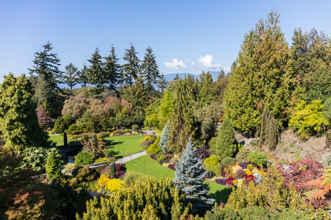 Vancouver: Guidad solnedgångstur med fotostopp