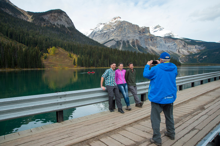 Vanuit Banff: excursie Grizzly Bear Refuge met lunch