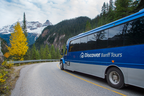 Banff : Visite du refuge des ours grizzly avec déjeuner