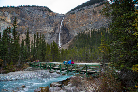 Banff: Grizzly Bear Refuge Tour med lunch