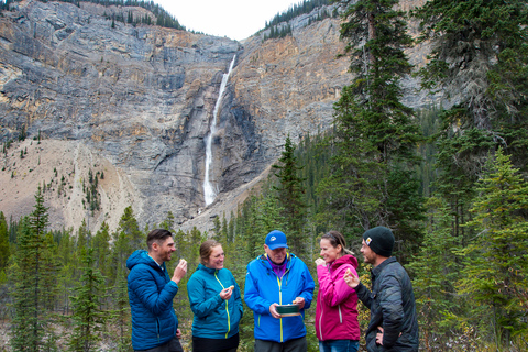 Banff: Grizzly Bear Refuge Tour with Lunch