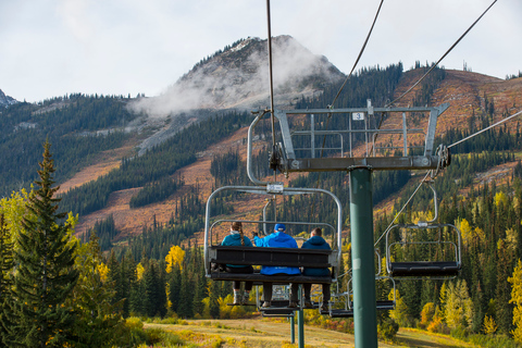 Ab Banff: Tagestour zum Grizzlybär-Reservat mit MittagessenAb Banff: Tour zum Grizzlybär-Reservat mit Mittagessen