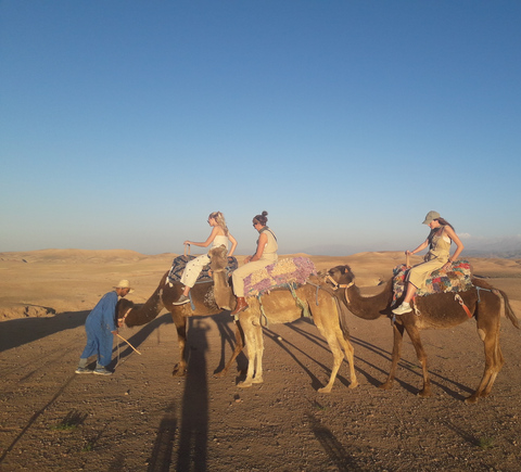 Private tours