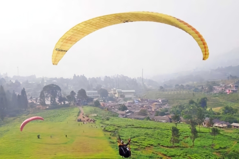 Jakarta Tour : Paragliding Top Mountain & Tea Plantation