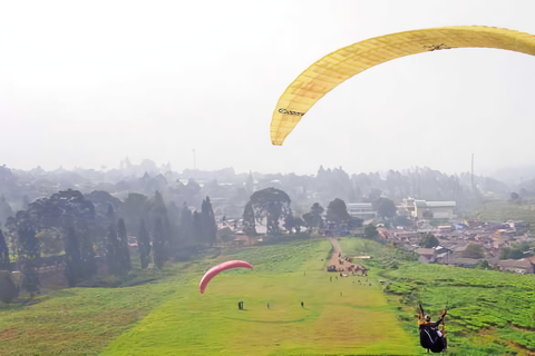 Passeio em Jacarta : Parapente no topo da montanha e plantação de chá