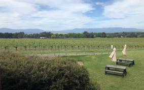 Mornington Peninsula Winery Bus Tour with Lunch & Wine