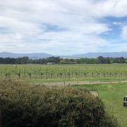 Mornington Peninsula Winery Bus Tour with Lunch & Wine
