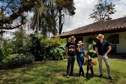 Excursion d'une journée aux chutes Tequendama et à l'hacienda du café au départ de Bogotá