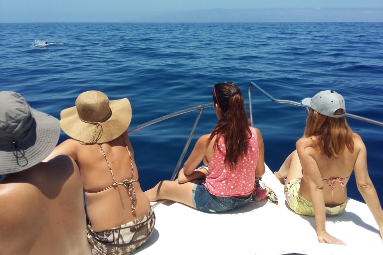 Tenerife: Marine Life Cruise