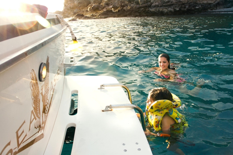 Teneriffa: Bootsfahrt zu Meereslebewesen