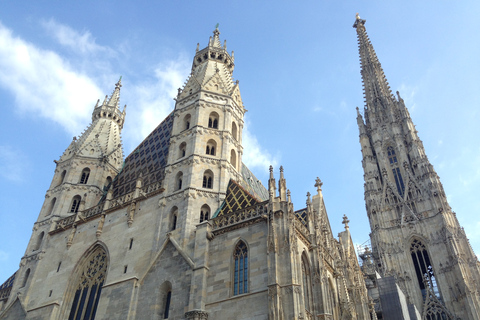 Viena: tour guiado en bicicleta eléctrica de 60 minutos