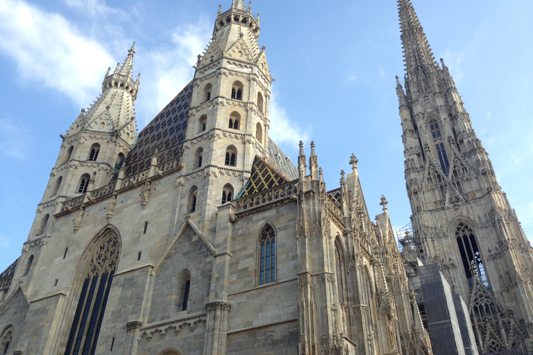 Vienna: Tour guidato in bicicletta elettrica