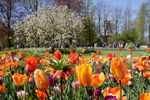 Amsterdam: Tour zu den Keukenhof Gärten mit Windmühlenkreuzfahrt