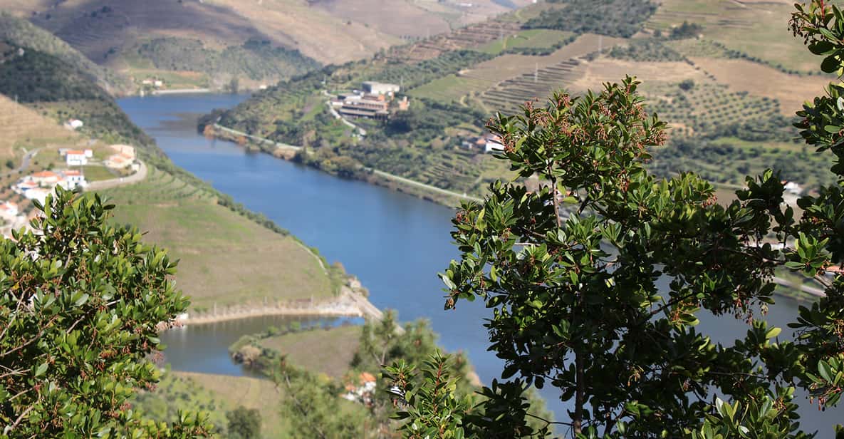 From Porto: Douro Valley 4x4, Kayak, and Vineyard Adventure