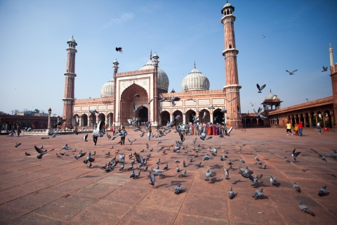 Delhi: Vieja y Nueva Delhi Tour guiado privado por la ciudadTour de un día por la ciudad de Nueva y Vieja Delhi con tickets de entrada