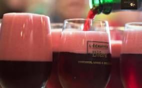 Brussels: Beer Tasting Tour with 8 Beers and Snacks
