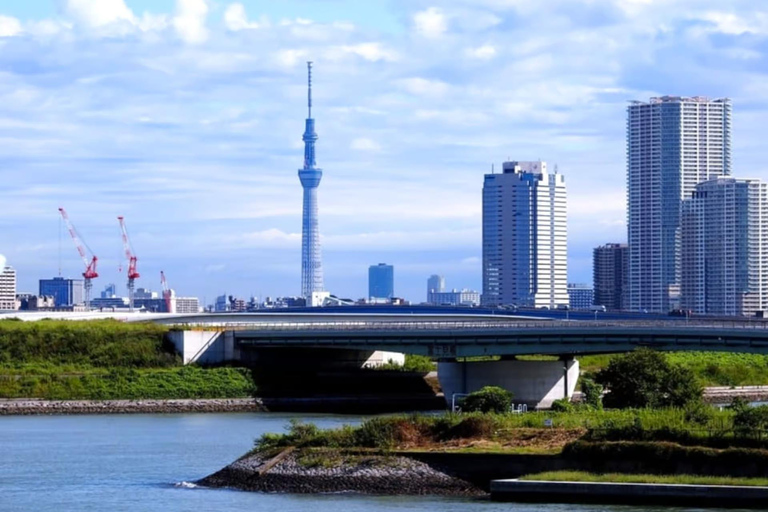 Tokyo Private Tour with English speaking driver Luxury Minivan(1 - 6)