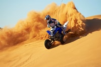 Marsa Alam, Morning Quad Bike Desert Safari with Transfers - Housity