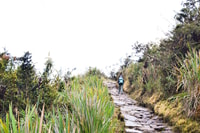 Cusco, Inca Trail per Machu Picchu 4 giorni di trekking - Hizvo