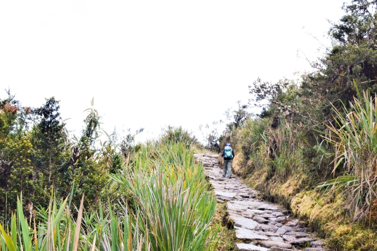 Cusco: Inca Trail naar Machu Picchu 4-daagse trektocht
