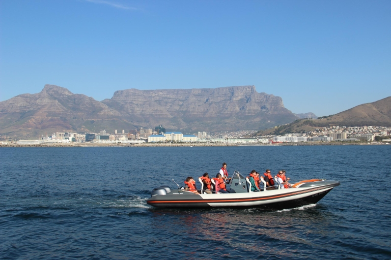 Cape Town: Marine Wildlife Cruise i City TourWycieczka w języku angielskim