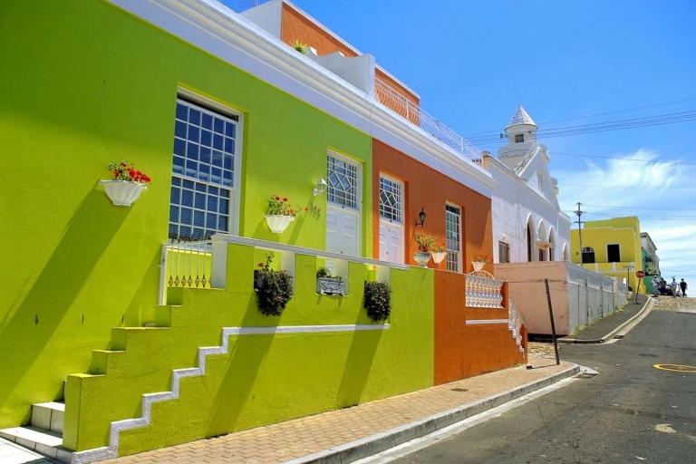 Ciudad del Cabo: crucero por la fauna marina y tour por la ciudadTour en ingles