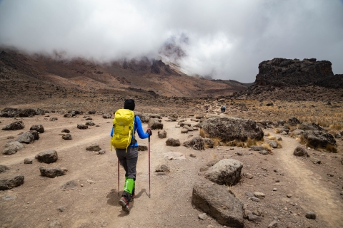 Monte Kilimanjaro: Aventura de 9 días por la Ruta Lemosho