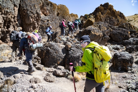 Mont Kilimandjaro : 9 jours d'aventure sur la route de Lemosho