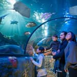 Gardaland SEA LIFE Aquarium: Biglietto flessibile per l'ingresso a data aperta