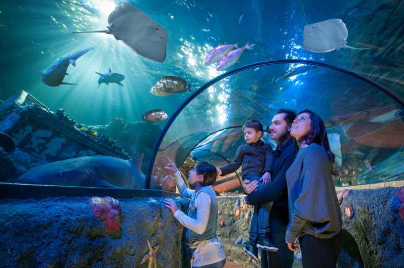 Gardaland SEA LIFE Aquarium: Open Date Entry Ticket
