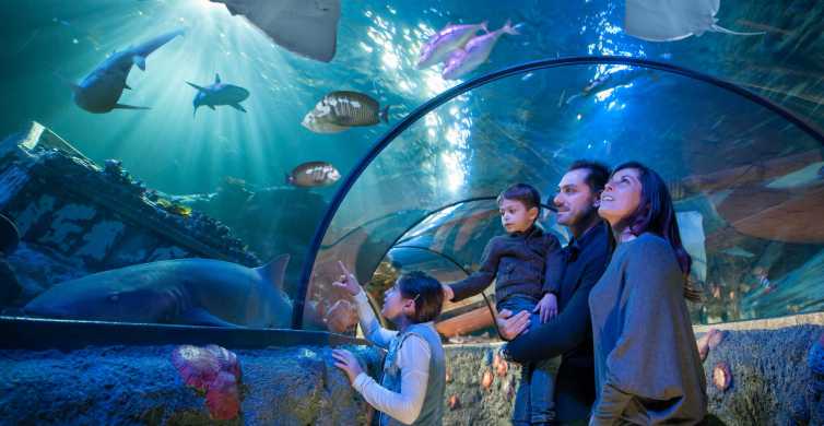 Gardaland SEA LIFE Aquarium: ticket met open datum