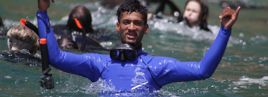 Plettenberg Bay : Baignade avec les phoques