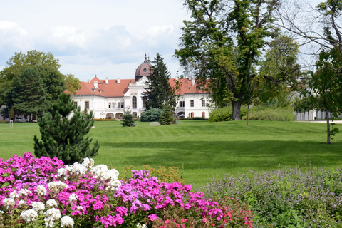 De Budapeste: Excursão ao Palácio Real de GödöllőTour Sisi em espanhol