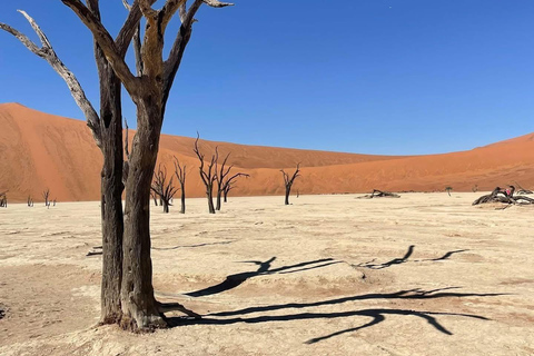 From Windhoek & Swakop: Namib Desert 2-Night Tour with Meals
