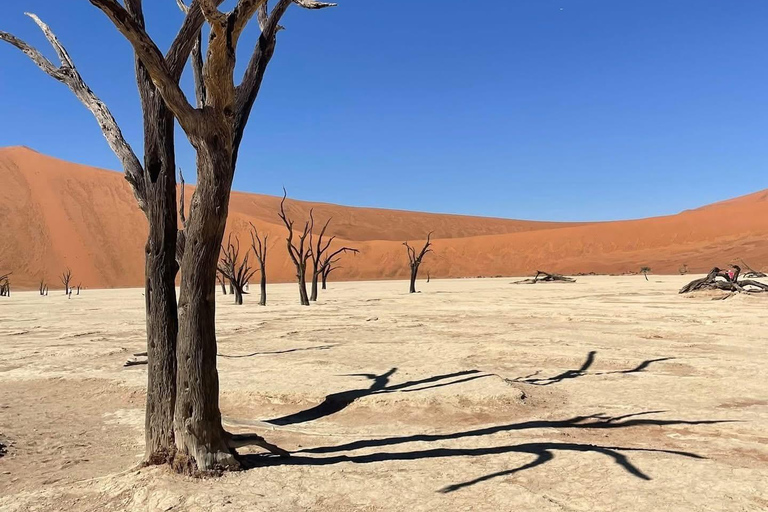 From Windhoek & Swakop: Namib Desert 2-Night Tour with Meals
