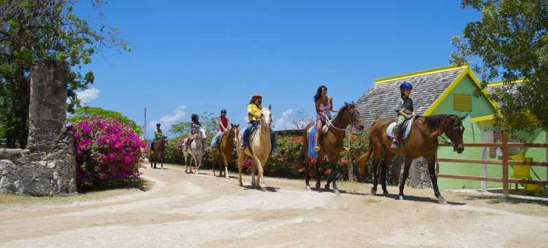 excursion kingston jamaica