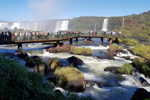 Foz do Iguaçu: Iguazu Falls, Bird Park & Itaipu Dam Day Trip
