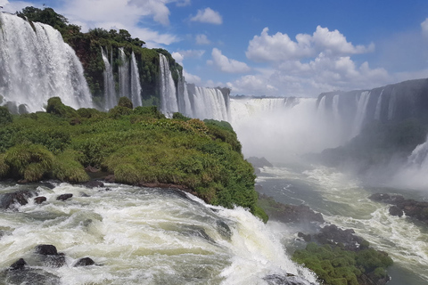 From Foz do Iguaçu: Visit to Brazilian Falls and Bird Park