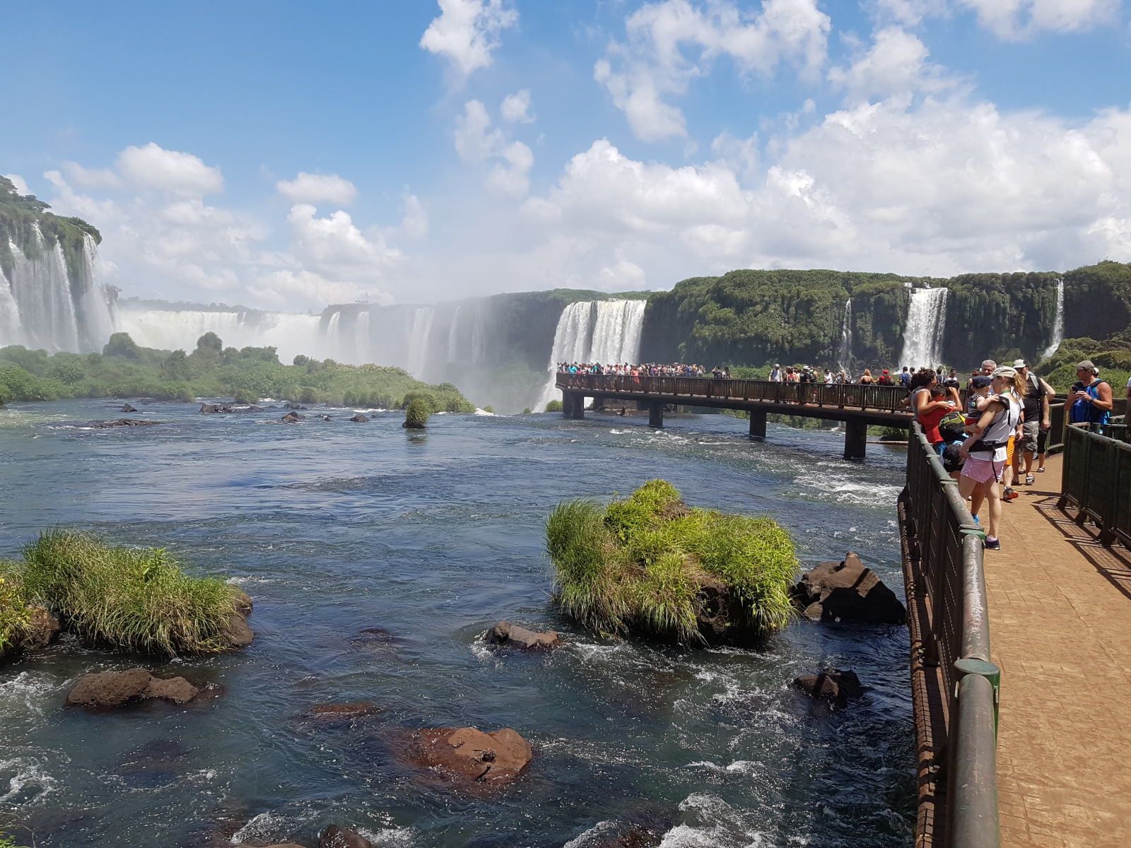 Von Foz do Iguaçu: Tour zu den brasilianischen Wasserfällen und zum Vogelpark