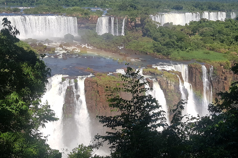 Von Foz do Iguaçu aus: Besuch der Brasilianischen Wasserfälle und des Vogelparks