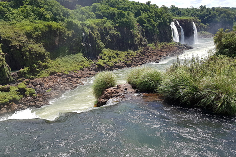 From Foz do Iguaçu: Visit to Brazilian Falls and Bird Park